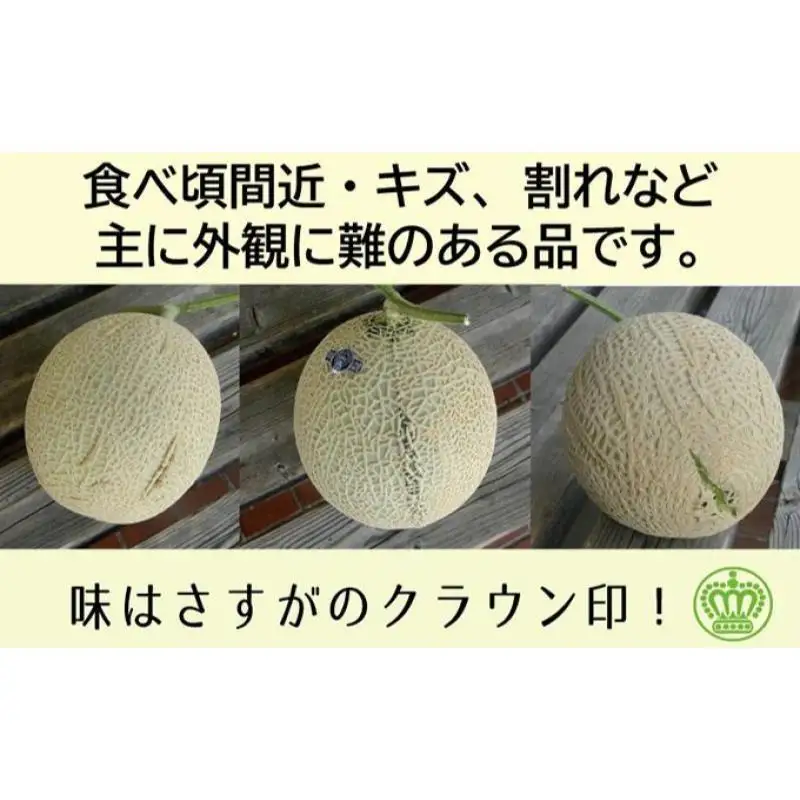 メロン 訳あり クラウン 1玉 静岡 フルーツ 果物 メロン