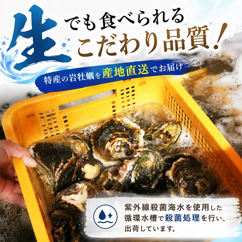 【冷蔵】牡蠣 岩ガキ 約3.5kg 10ケ入