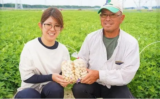生落花生 おおまさり 2kg とれたて 耕地の美味しい野菜シリーズ第1弾 H132-028