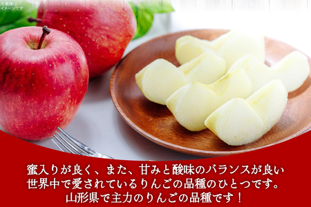 【期間限定発送】 りんご 高畠町産 サンふじ りんご 12～18玉 計 5kg