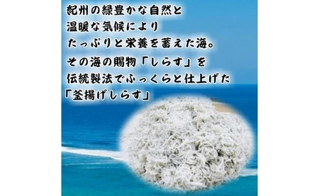 湯浅湾の釜揚げしらす たっぷり700g 無添加 無着色 訳あり 家庭用 簡易包装 和歌山県_BD6031n
