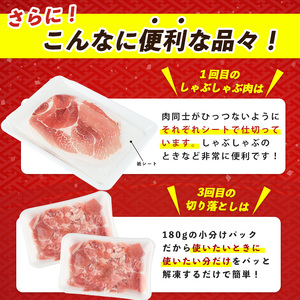 全3回 定期便 かごしま黒豚バラエティ定期便 岡村商店 IBZ024-003