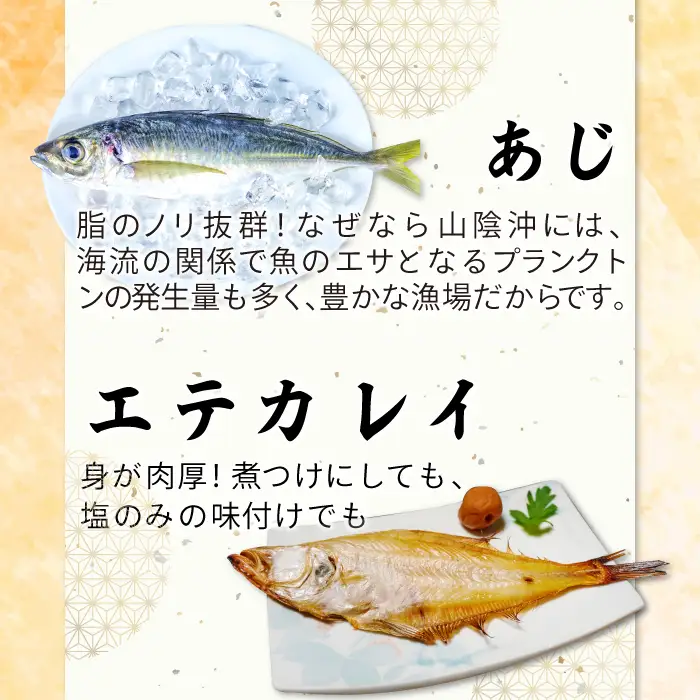 定番の干物４種詰合せセット【干物 セット アジ エテカレイ ハタハタ 白いか 鯵 鰈 鰰 白イカ 島根県産 島根県沖 一夜干し ひもの 魚 魚介 日本食 和食 贈答 ギフト お取り寄せグルメ ご当地グルメ】