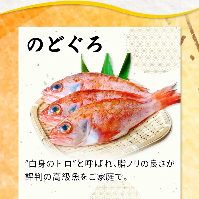 定番の干物５種詰合せセット【干物セット 人気 ノドグロ アジ エテカレイ ハタハタ 白いか のどぐろ 鯵 鰈 鰰 白イカ 島根県産 島根県沖 一夜干し 干物 ひもの 魚 高級魚 贈答 ギフト お取り寄せグルメ お中元】