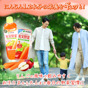 【10営業日以内発送】伊藤園 充実野菜 緑黄色ミックス 740g×15本セット（1ケース） スピード発送 野菜ジュース 伊藤園 充実野菜 野菜ジュース 019-G-IT004