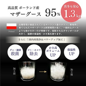 羽毛布団 ピンク シングル ポーランド産マザーホワイトグースダウン95％ 布団 ロワーレ