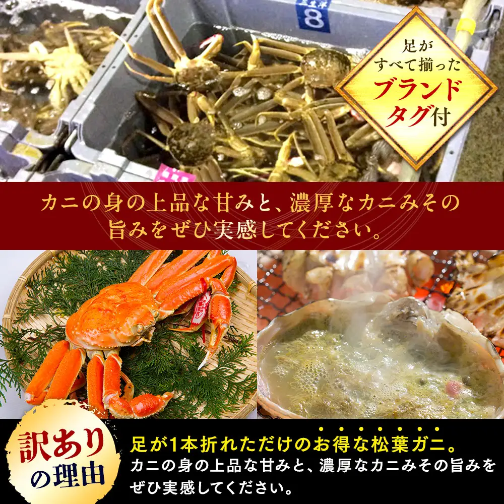 【ボイル】訳あり 松葉ガニ おまかせ3kg（5～8枚）※2026年11月上旬～2027年3月下旬頃に順次発送予定 ※着日指定不可 松葉ガニ