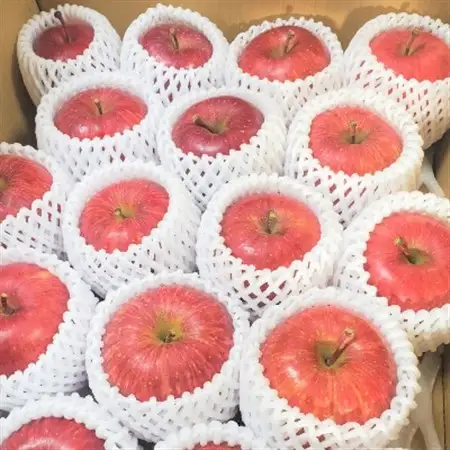 【青森ごのへ産】味に自信 りんご  サンふじ 約5kg【配送不可地域：離島・沖縄県・中国・四国・九州】【1034082】