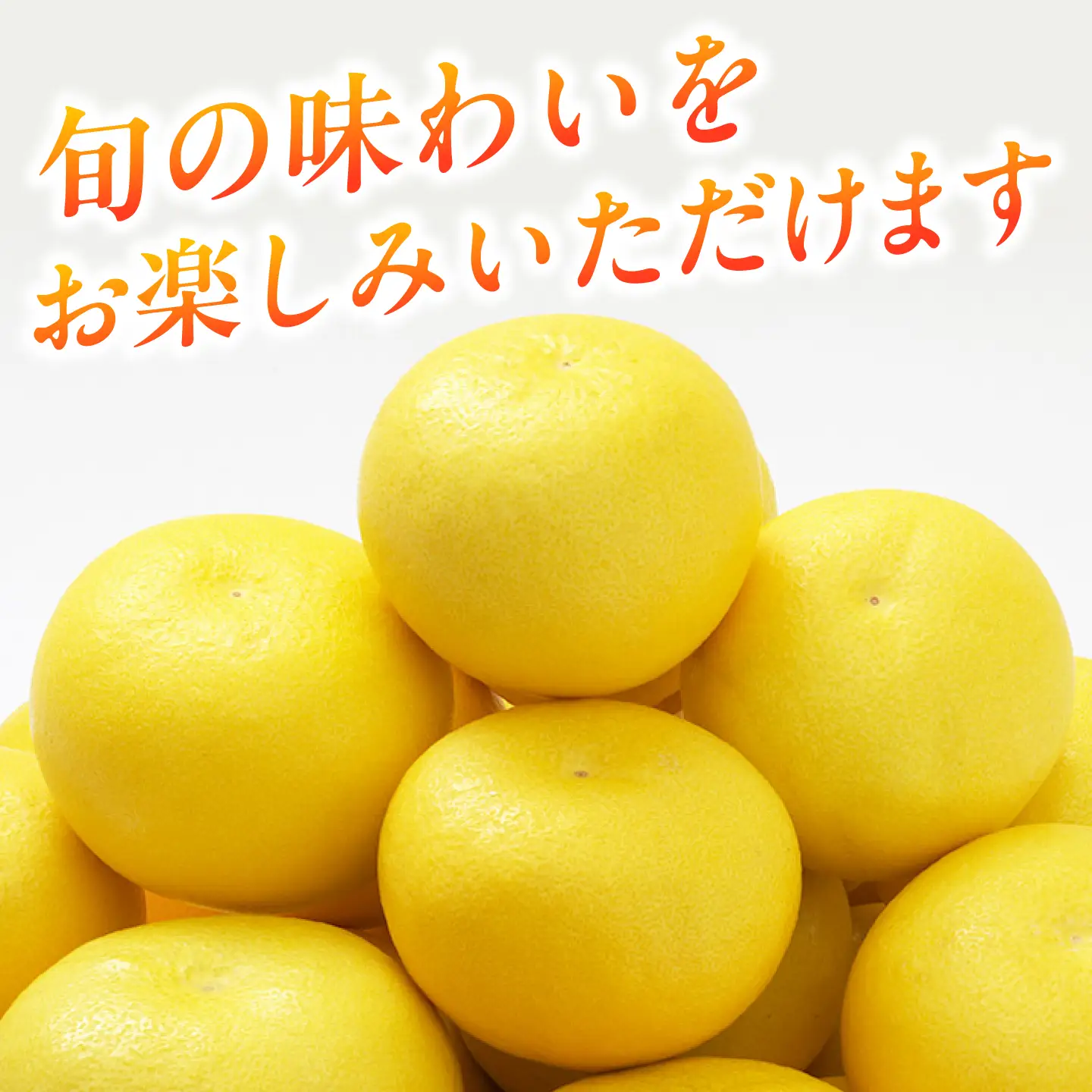 土佐文旦 9.5kg (2L～4L) 文旦 BQAH002