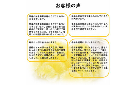 【先行予約】土佐文旦 4.5kg 文旦 BQAH001