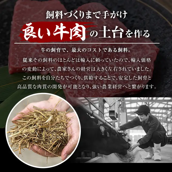 鹿児島県産 黒毛和牛 (A5等級) 希少部位 ステーキ セット (合計600g・ヒウチ ステーキ (200g×1) イチボ ステーキ (200g×2)セット) 牛肉  赤身 小分け【LRプラスK】A233-v01