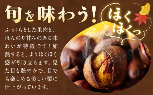 佐那河内産　生栗1kg(サイズ混合)《10月上旬-10月末頃発送》