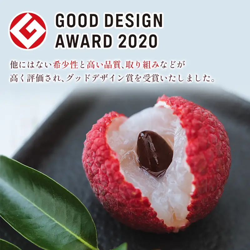 ［2027年発送］先行予約 希少！国産＜新富ライチ＞40g前後×10玉 国産 ブランド フルーツ 果物 贈答品【B120-27】