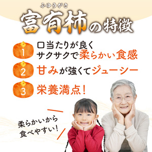 《先行予約》 かせやまの柿 富有柿 Lサイズ 約3.5kg 京都 015-01 ｜ かき【2026年10月下旬～順次発送】