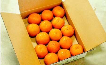 《先行予約》富有柿 Lサイズ18個 約4kg 京都府 014-03 ｜ かき【2026年12月1日～順次発送】