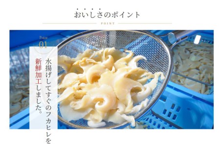 ふかひれ姿煮・スープセット 