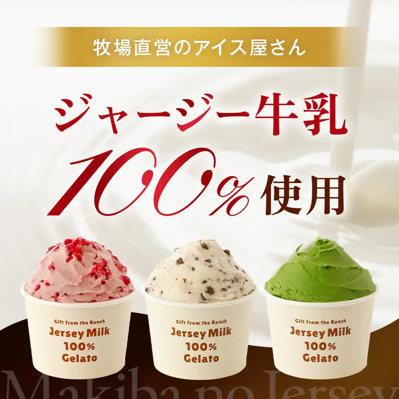 【ジャージー牛乳使用】まきばのジャージーアイス 500ml×4 (ミルク・チョコチップ・塩ミルク・季節のアイス) 福島県 伊達市 東北  アイスクリーム 濃厚 F21C-038