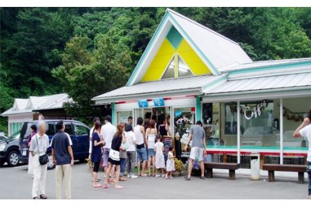 【ジャージー牛乳使用】まきばのジャージーアイスおすすめ6個  F20C-148