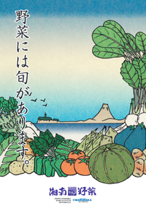 旬の湘南野菜おまかせセット 10～15品 ブランド野菜 