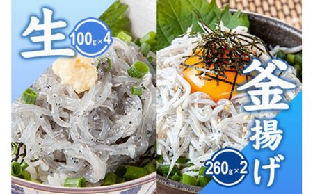 生しらす 釜揚げしらす たっぷりセット 【 とびっちょ YTB004 】