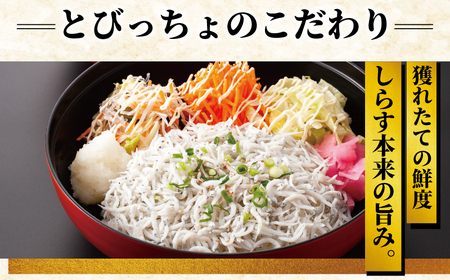 食事券 しらす問屋とびっちょ お食事券 1名様分 【 観光 】