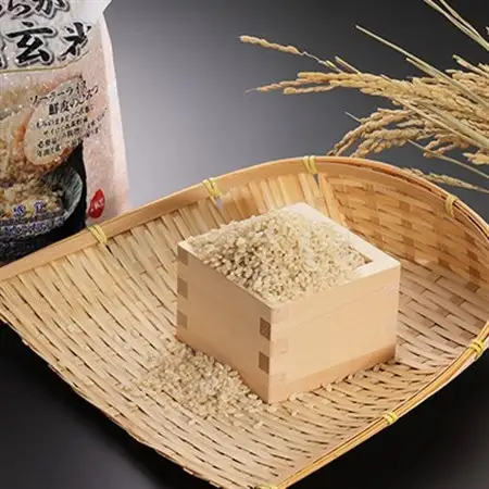 あきたこまち　やわらか有機玄米1kg×3【配送不可地域：離島・沖縄県】【1072245】