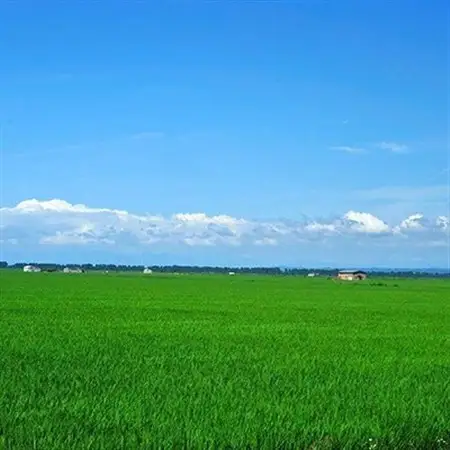 大潟村産あきたこまち　精米10kg  大潟村カントリーエレベーター公社　 【配送不可地域：離島・沖縄県】【1107607】