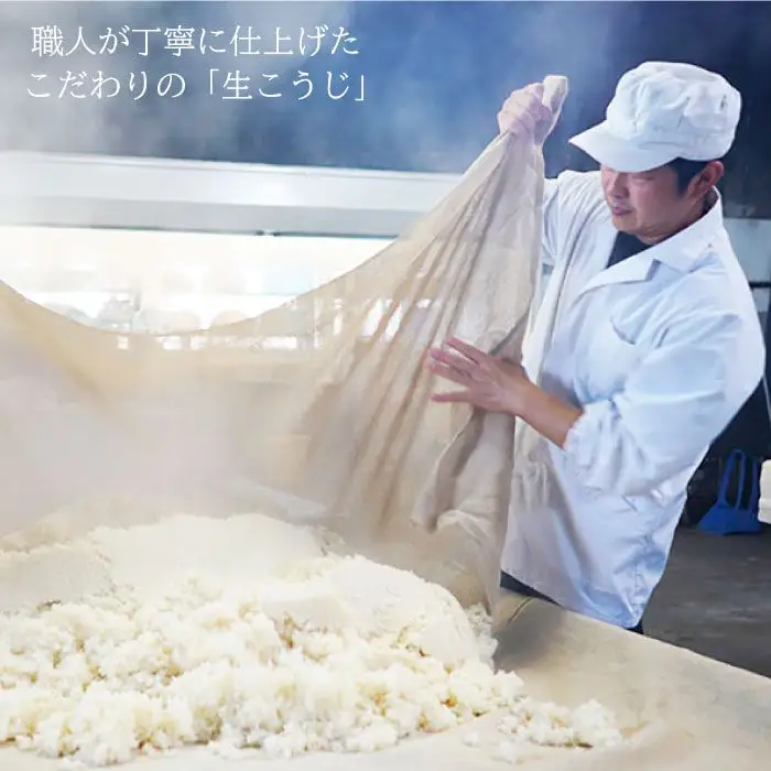 【簡単レシピ付き！】手作り生米こうじ 400g 5個セット【原味噌本店】 [CA14]