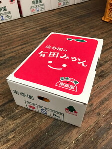 【ちょっと傷あり】極早生・有田みかん 約5kg(LまたはMサイズ)_ZF6004n