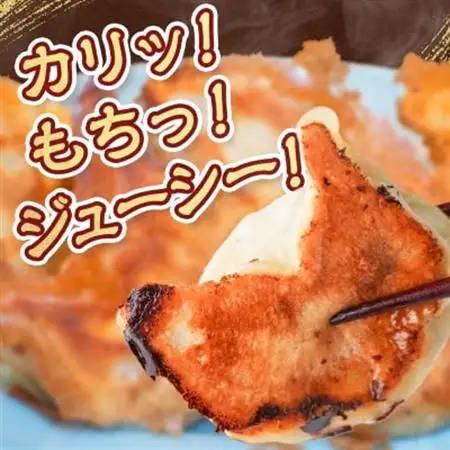 【佐野餃子(大)10個2人前】と【佐野餃子(中)野菜餃子24個4人前】_餃子 ぎょうざ 佐野餃子 野菜餃子 栃木県 佐野 おつまみ おかず 人気 おすすめ 送料無料 贈答 ギフト 冷凍_【配送不可地域：離島・沖縄県】【1061582】