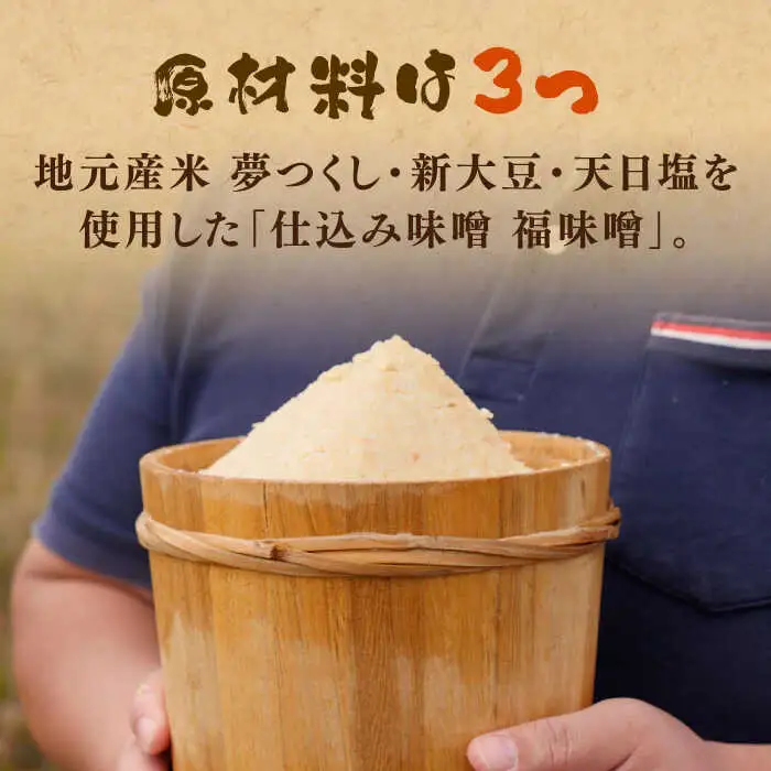 味噌 仕込み味噌 福みそ 8kg ※仕込み樽付き [ABAF017] 味噌