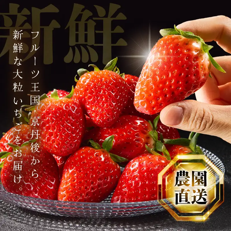イチゴ 章姫 8-11粒×2パック | 大きないちご