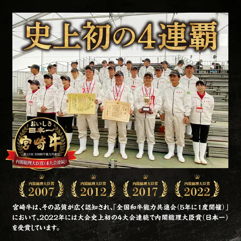 宮崎県産黒毛和牛A4等級以上 高千穂牛すね肉　800g 牛肉 肉 お肉 牛すね肉 国産牛 ブランド牛 和牛 牛肉 国産 パック 冷凍 料理 煮込み料理 ビーフシチュー おでん おかず _Tk002-074