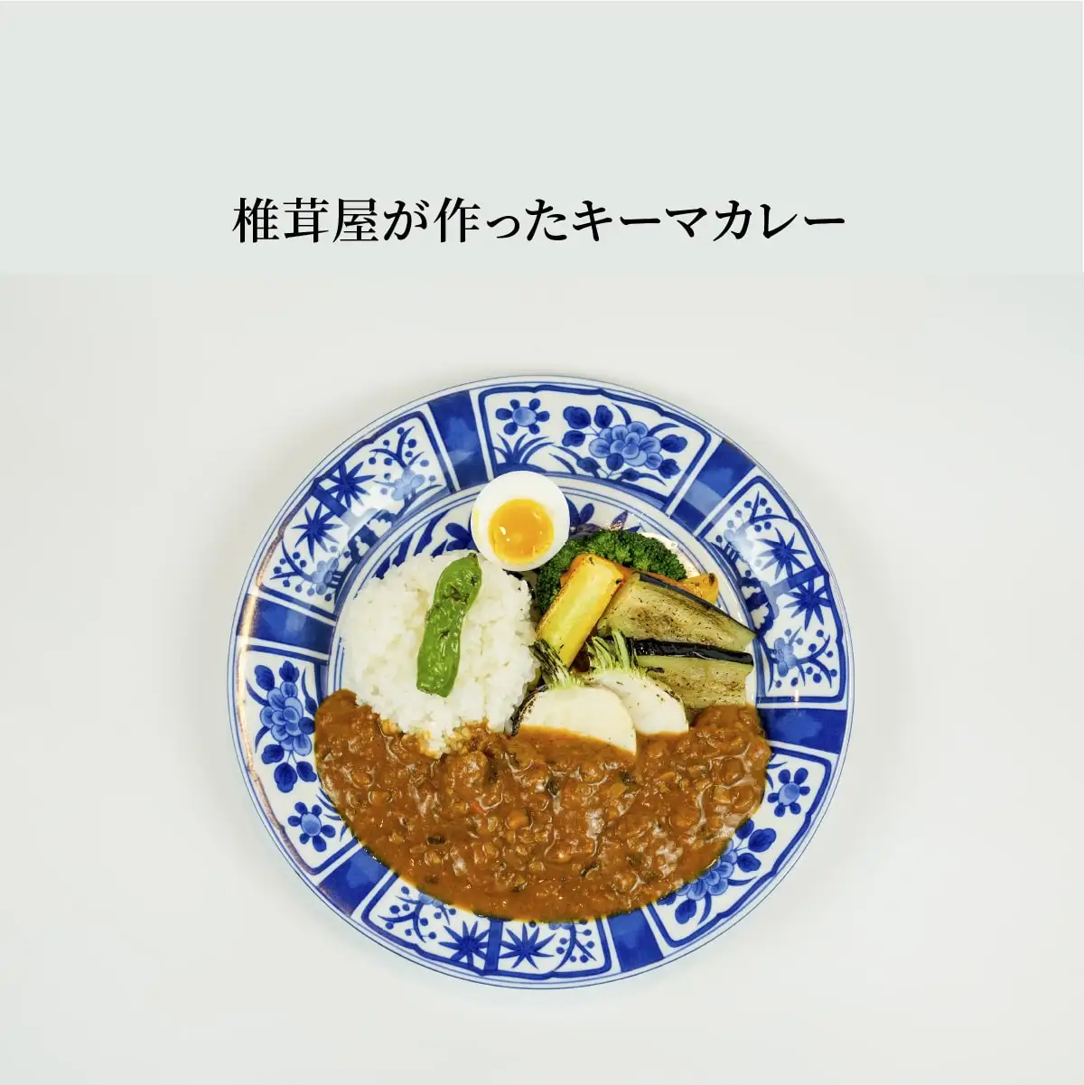 高千穂の食材カレーセット カレー トマトカレー キーマカレー ヘルシー レトルト レトルトカレー カレーライス 簡単調理 惣菜 お惣菜 おかず グルメ お取り寄せ お取り寄せグルメ おすすめ 贈答 贈り物 ギフト 宮崎県 高千穂町 _Tk005-097