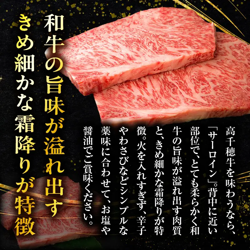 宮崎県産黒毛和牛A4等級以上 高千穂牛サーロインステーキ 250g×2枚 計500g 牛肉 肉 お肉 サーロイン ステーキ ステーキ肉 ブランド牛 和牛 国産牛 国産黒毛和牛 贈り物 贈答 ギフト プレゼント お祝い 内祝い グルメ 記念日 _Tk002-063
