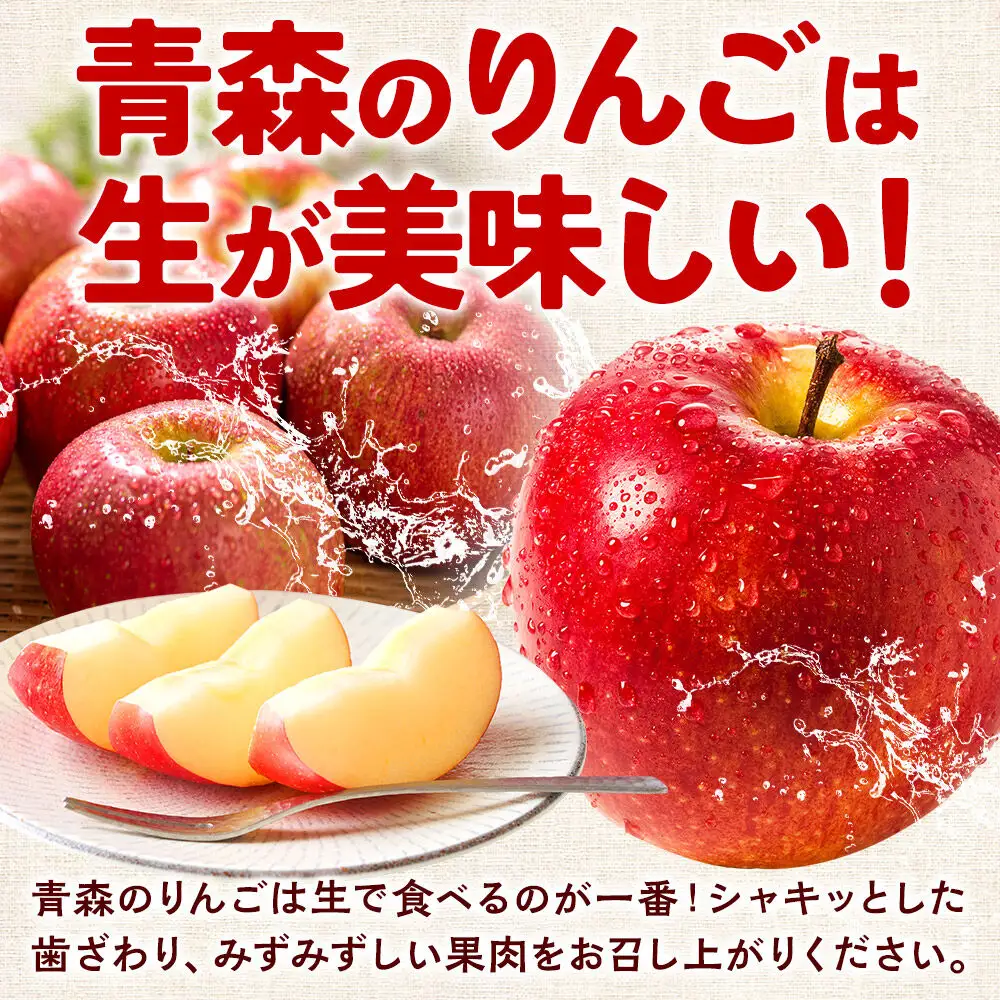 りんご サンふじ 贈答用 約3kg【2月～発送】りんご