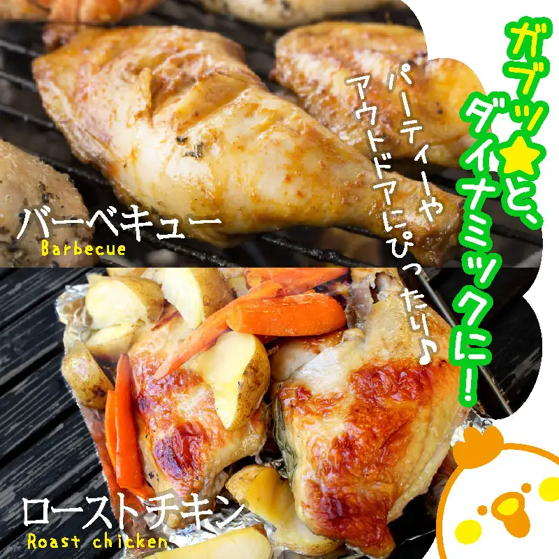 宮崎県産 若鶏 骨付き 鳥モモ 10本セット（1本あたり300g前後）【C136】
