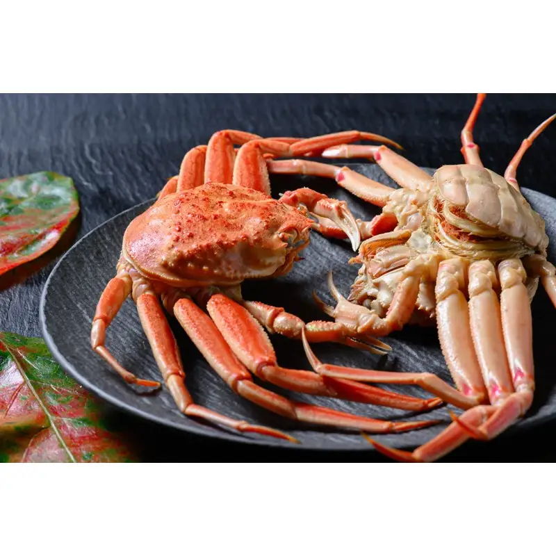 【蟹の匠 魚政】内子外子が美味! 茹でたて セイコガニ（セコ蟹）（香箱ガニ）（こっぺ）中小サイズ 5匹セット