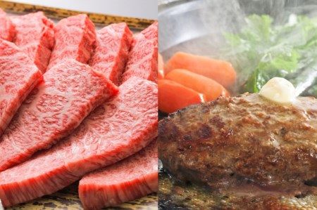 BN054_Ａ5ランク佐賀牛もも焼肉用200ｇ＆佐賀牛100％手作りハンバーグ4個