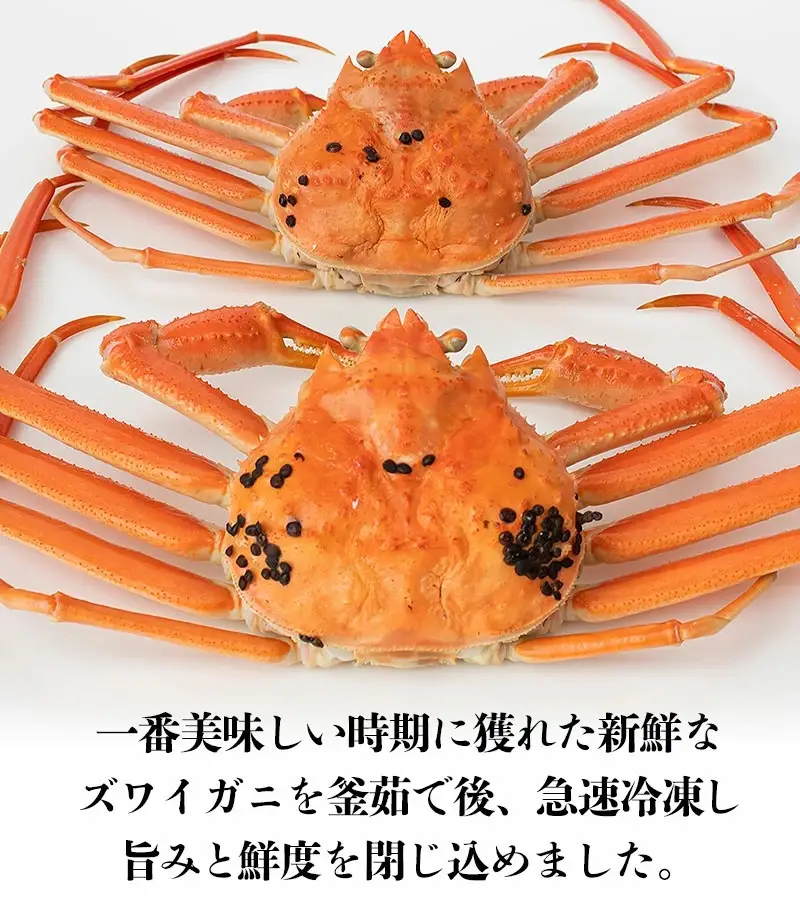 【令和8年10月以降発送】冷凍 鼠ヶ関産ボイルズワイガニ (約400g)×2尾 鶴岡魚類株式会社 K-895