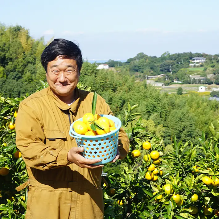 温州みかん　5kg　サイズ色々Ｓ・Ｍ・Ｌミックス