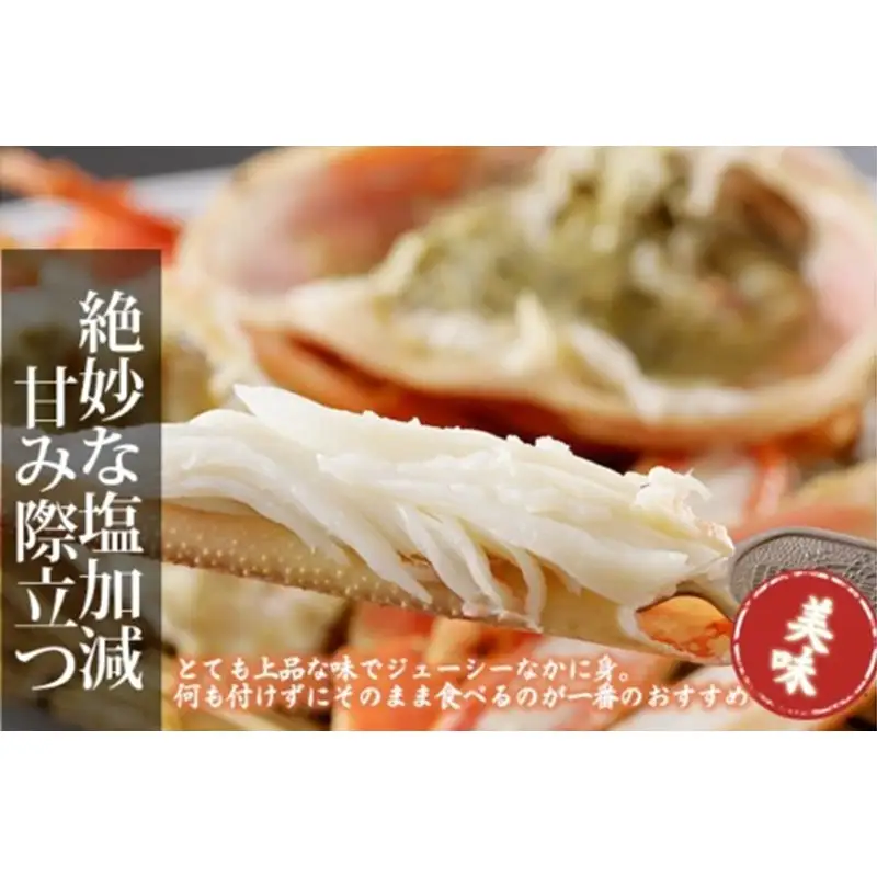 かに卸問屋がお届け・自社釜ゆで！山陰沖ゆで松葉がに 700ｇ～800ｇ 中大サイズ（11月発送）／北畿水産