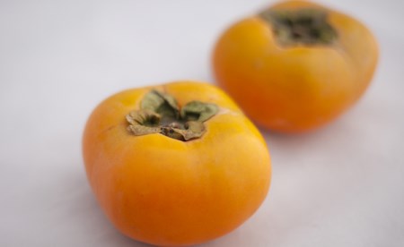 柿 【産直もぎたて】太秋柿（2kg）