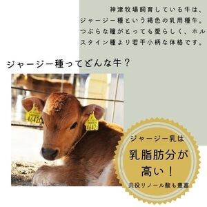 【神津牧場】ジャージー牛の濃厚ミルクで作った神津ジャージーアイスクリーム（牛乳味）6個入り F21K-309