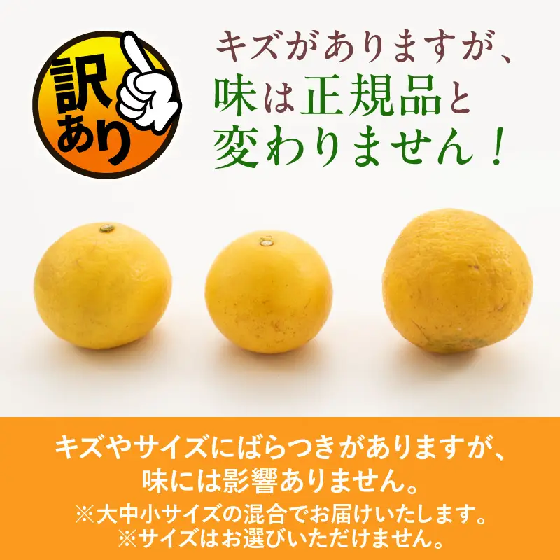 先行予約 訳あり 海藻木酢 日向夏 小夏 計8kg以上 傷み補償分入り_BB179-26