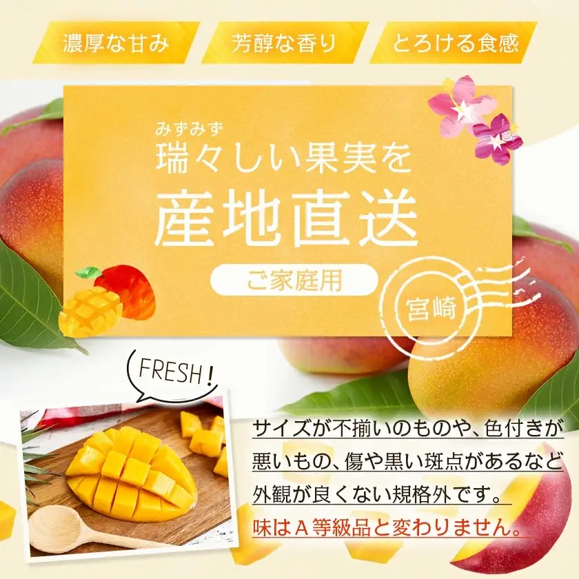 【先行受付!】宮崎完熟マンゴー家庭用1kg以上(都城産)≪2027年6月～7月頃順次お届け≫〔MJ-3311〕_(都城産) 特大4Lサイズ(500g以上)2玉 L～3Lサイズ3玉～5玉など組合わせで合計1kg以上 宮崎マンゴー 産地直送 規格外