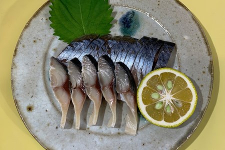 おうちで漁師体験Ｂセット ヒラメ 1尾 マサバ 2尾 マダコ 1袋 [天洋丸 長崎県 雲仙市 item1737] ひらめ さば サバ 鯖 たこ タコ