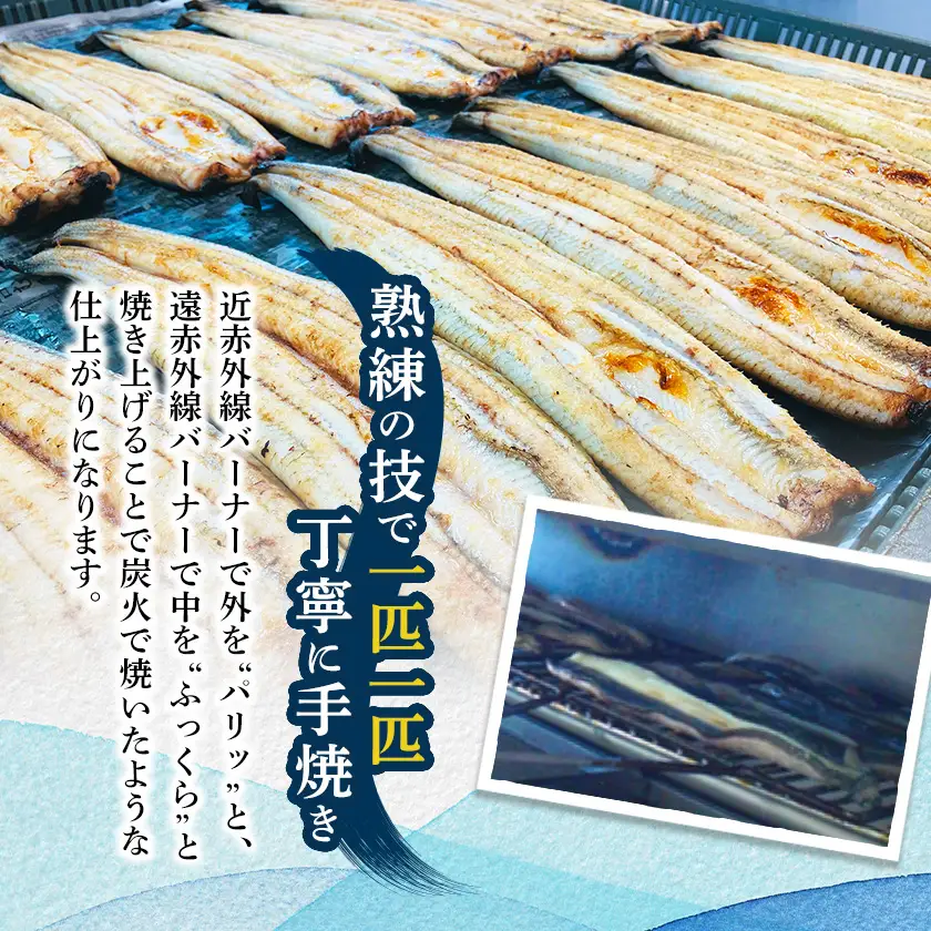 きざみうなぎ蒲焼 約50g×6個[冷蔵]_うなぎ 鰻 蒲焼 きざみ 浜名湖産 美味しい_【配送不可地域：離島】【1389401】