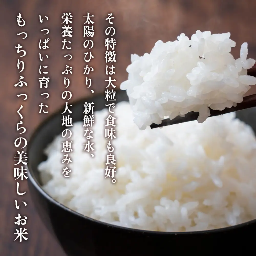【精米】令和8年産新米 先行受付 大崎産「なつほのか」5kg