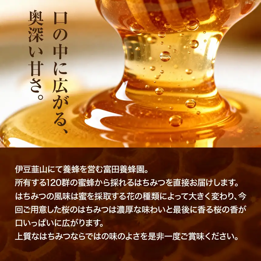 富田養蜂園 桜のはちみつ（500g×2本）